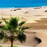 Excursion por la isla de GRAN CANARIA